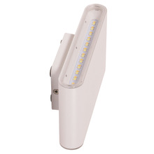 Jenkins LED Outdoor Wall Light